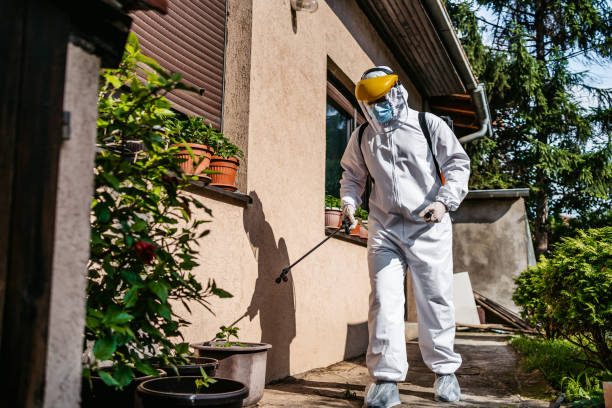 Best Wasp Removal Services  in Chester, SC