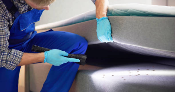 Professional Pest Control in Chester, SC